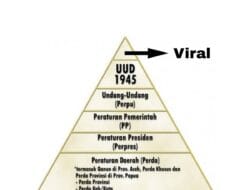 Viral-Based Policy: Saat Kebijakan Publik Ditentukan oleh Media Sosial