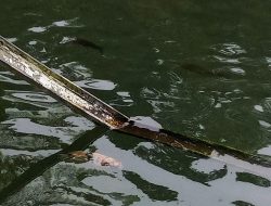 Keindahan Telaga Madirda dan Fenomena Fisika di Baliknya