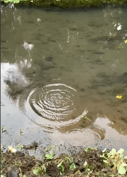 Keindahan Telaga Madirda dan Fenomena Fisika di Baliknya