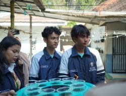 Bikin Bangga! KKN-T 129 Undip Hadirkan Budikdamber untuk Siswa SLB Surya Gemilang