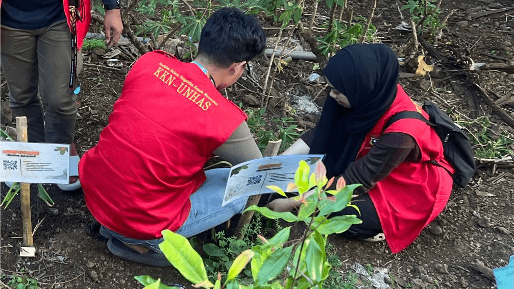 Mahasiswa KKN-PK UNHAS Gelar Program HERBA TOGA: Harmonisasi Edukasi dan Revitalisasi Budidaya serta Pemanfaatan Tanaman Obat Keluarga sebagai Alternatif Pengobatan Tradisional 4 Mahasiswa KKN-PK UNHAS Gelar Program HERBA TOGA: Harmonisasi Edukasi dan Revitalisasi Budidaya serta Pemanfaatan Tanaman Obat Keluarga sebagai Alternatif Pengobatan Tradisional