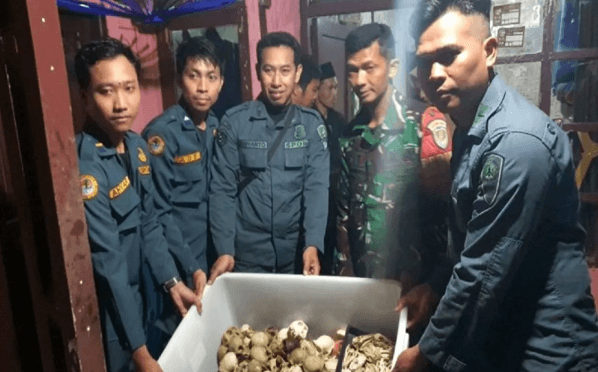 Belenggu di Leher, Belati di Hati: Jeritan Sunyi Monyet dan Beruk di Pusaran Perdagangan dan Eksploitasi 3 Belenggu di Leher, Belati di Hati: Jeritan Sunyi Monyet dan Beruk di Pusaran Perdagangan dan Eksploitasi