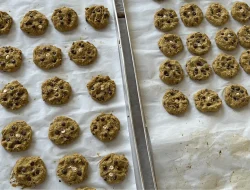 Program Pengabdian Undiksha Hadirkan Cookies MOMONANA untuk Cegah Stunting di Desa Bukti