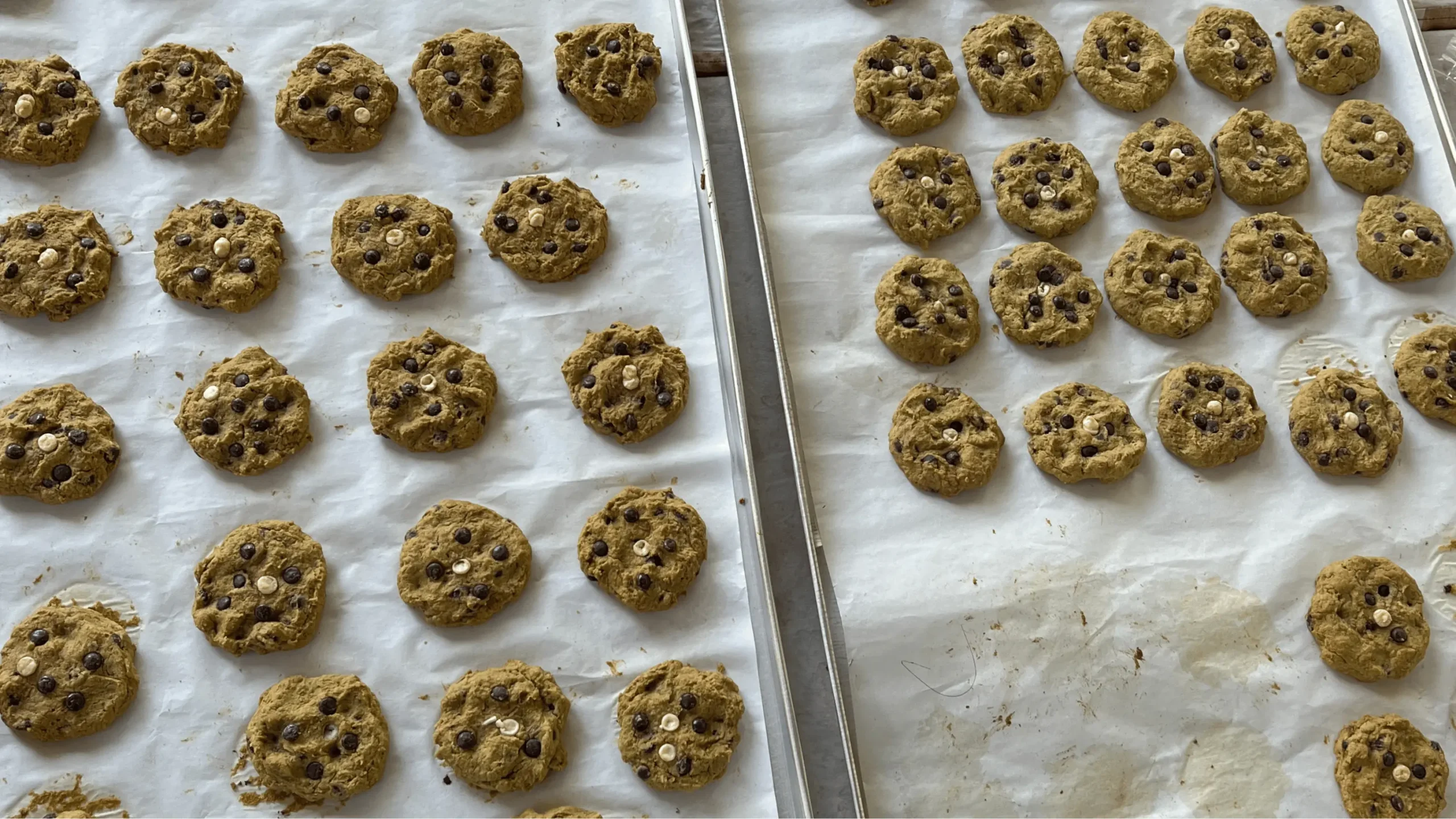 Program Pengabdian Undiksha Hadirkan Cookies MOMONANA untuk Cegah Stunting di Desa Bukti 1 Program Pengabdian Undiksha Hadirkan Cookies MOMONANA untuk Cegah Stunting di Desa Bukti