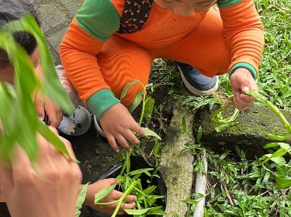 Mahasiswa PG PAUD UNY Wujudkan Pembelajaran Inovasi Berkelanjutan Kebun Sayur Sekolah TK SPS Setyowati Seyegan sebagai Implementasi SDGs 9 Dan SDGs 4