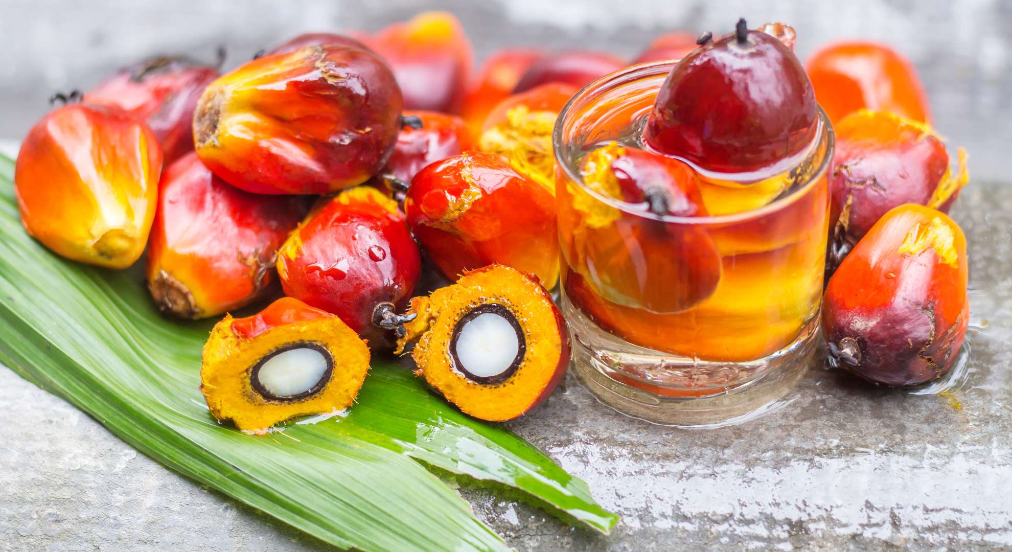 Margarin Nabati Oleogel Sawit Merah, Inovasi Bebas Lemak Trans dengan Kandungan Karotenoid Tinggi 1 Gallery-5