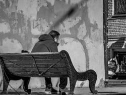 Cultural Displacement in We Need New Names by NoViolet Bulawayo