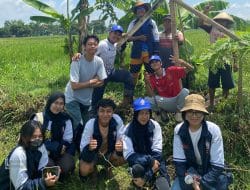 Mahasiswa KKN Universitas Diponegoro Kembangkan Smart Owl House untuk Pengendalian Hama Tikus di Desa Mutihan