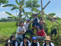 KKN Undip Laksanakan Pembuatan Peta Lokasi dan Rekomendasi Penempatan Smart Owl House (Rubuha) untuk Pengendalian Hama Tikus di Desa Mutihan